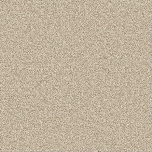 Cormar Carpets Apollo Plus Shortbread Special Offer £13 m2