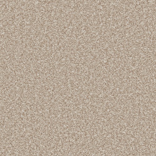 Cormar Carpets Primo Ultra Doeskin Special Offer  £15 m2