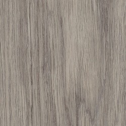 Amtico Signature LVT Shore Oak AR0W8180